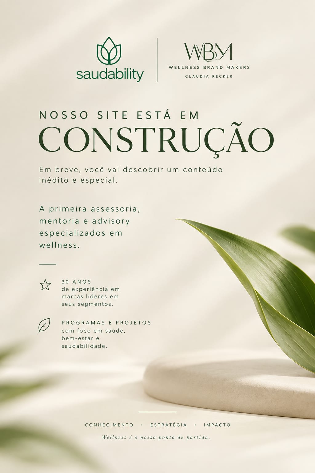 Imagem central
